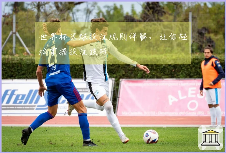 世界杯买球投注规则详解，让你轻松掌握投注技巧