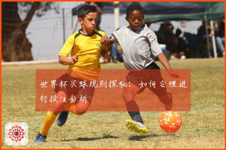 世界杯买球规则探秘：如何合理进行投注分析