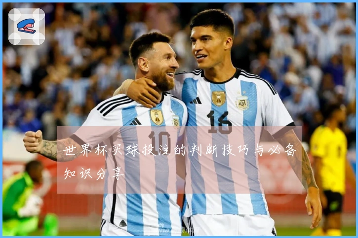 世界杯买球投注的判断技巧与必备知识分享