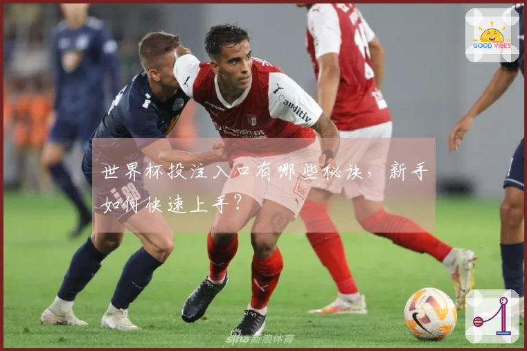 世界杯投注入口有哪些秘诀，新手如何快速上手？