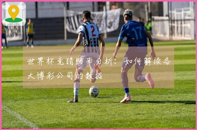 世界杯竞猜赔率分析：如何解读各大博彩公司的数据