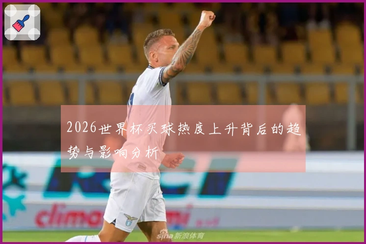 2026世界杯买球热度上升背后的趋势与影响分析