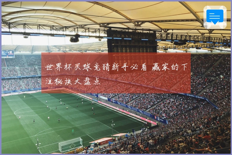 世界杯买球竞猜新手必看 赢家的下注秘诀大盘点
