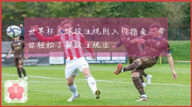 世界杯买球投注规则入门指南，带你轻松了解投注玩法
