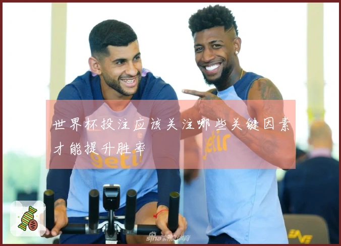 世界杯投注应该关注哪些关键因素才能提升胜率