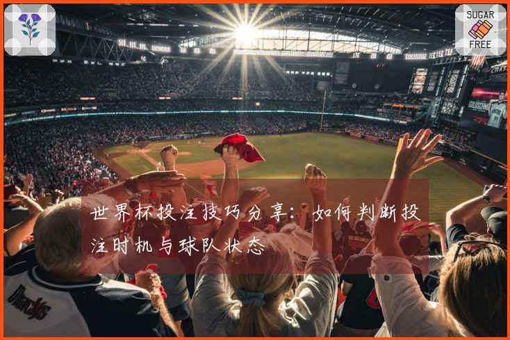 世界杯投注技巧分享：如何判断投注时机与球队状态