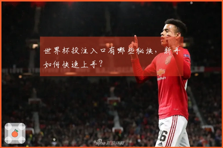 世界杯投注入口有哪些秘诀，新手如何快速上手？