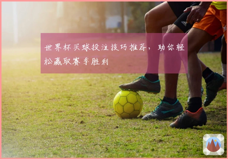 世界杯买球投注技巧推荐，助你轻松赢取赛季胜利