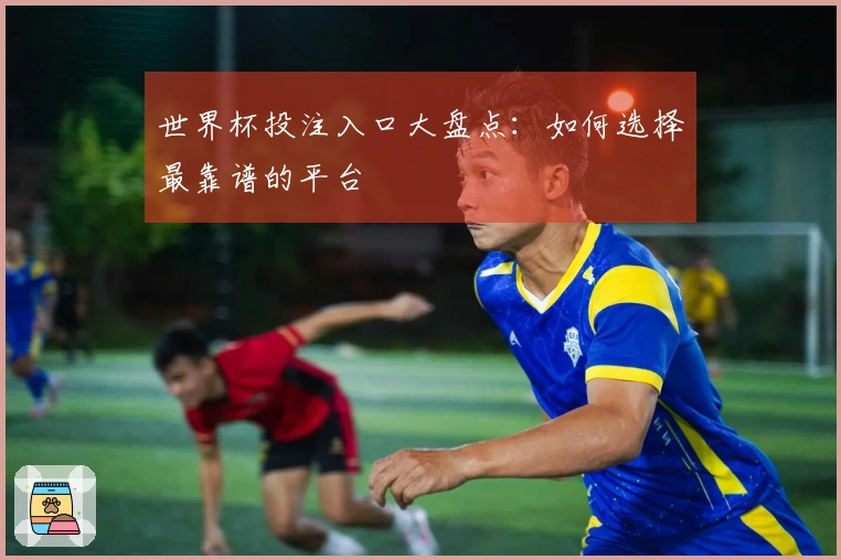 世界杯投注入口大盘点：如何选择最靠谱的平台
