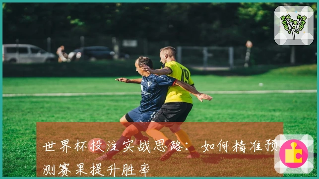 世界杯投注实战思路：如何精准预测赛果提升胜率