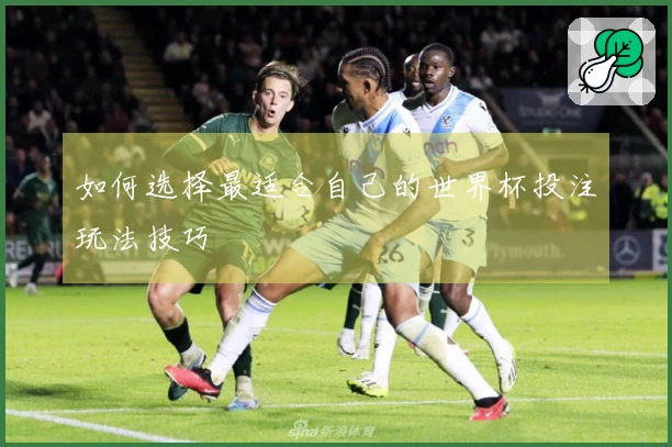 如何选择最适合自己的世界杯投注玩法技巧