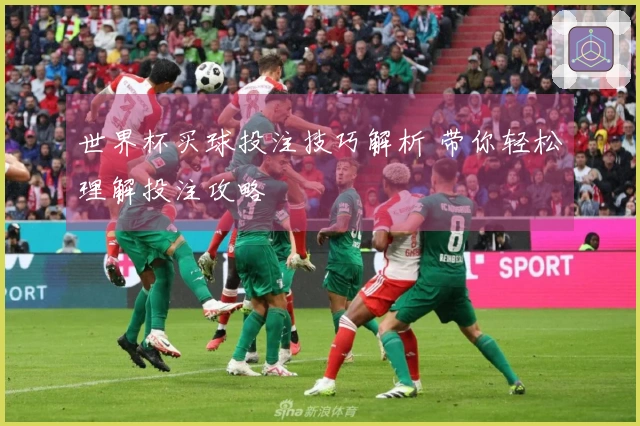 世界杯买球投注技巧解析 带你轻松理解投注攻略