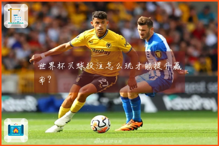 世界杯买球投注怎么玩才能提升赢率？